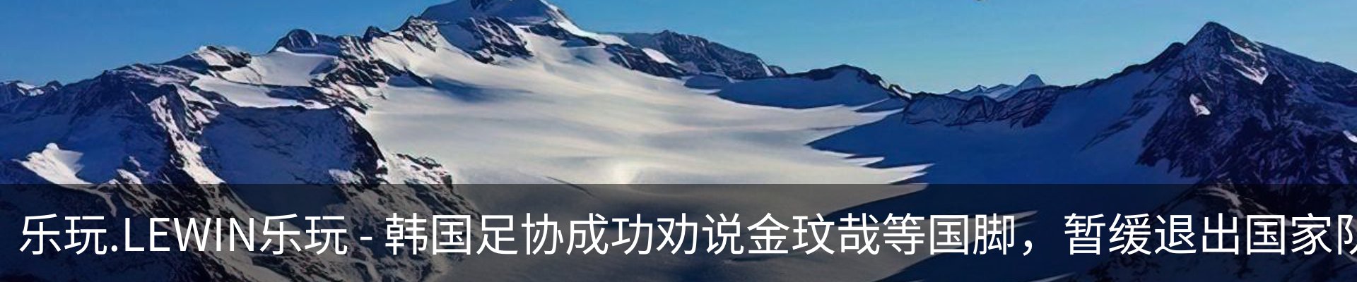 新闻动态