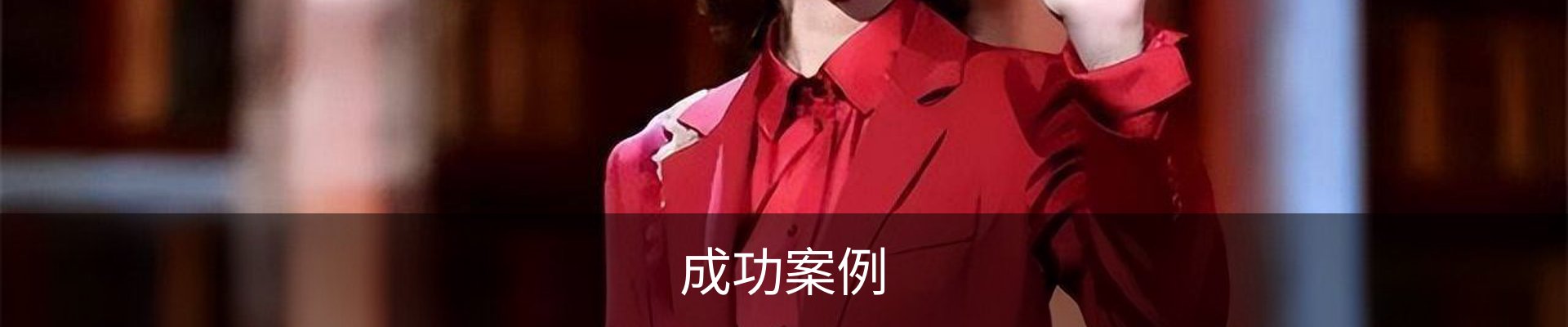 成功案例